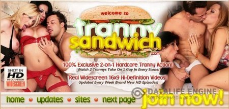 TrannySandwich - Полный СайтРип Транс-Оргий в HD - 2009-2011 (SiteRip/TrannySandwich/HD720p)